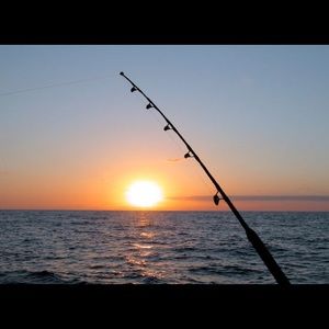 Meet your Posher, Trevor